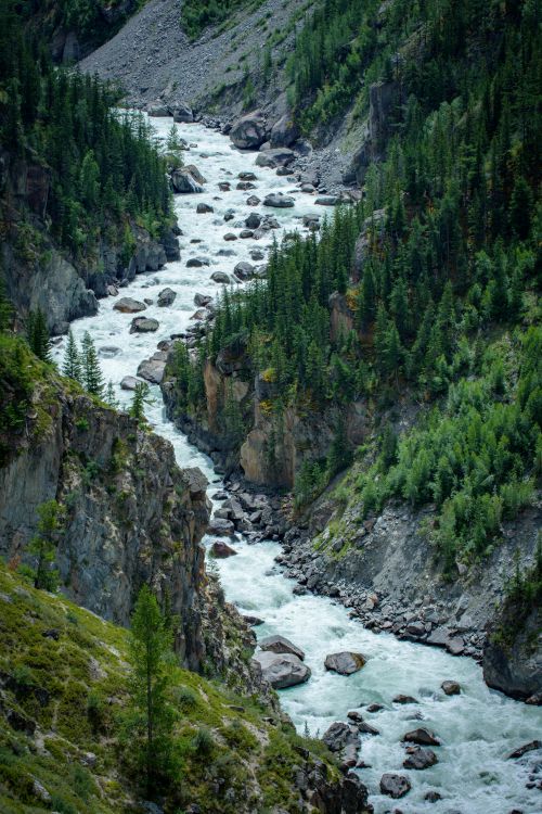 Fast-flowing river in the mountains